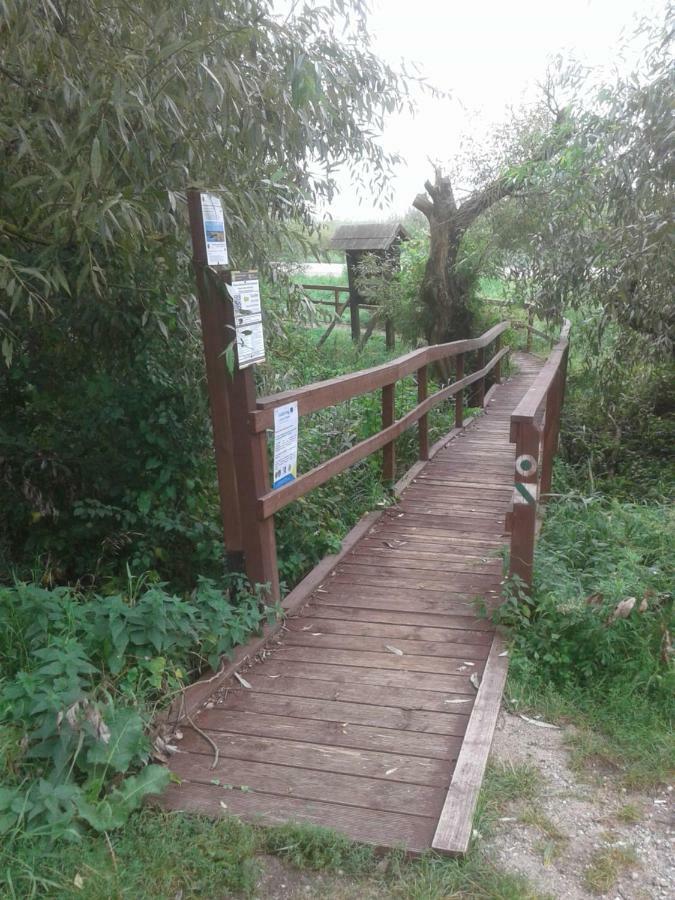 Kwatera Na Bagnach Osowiec  Экстерьер фото