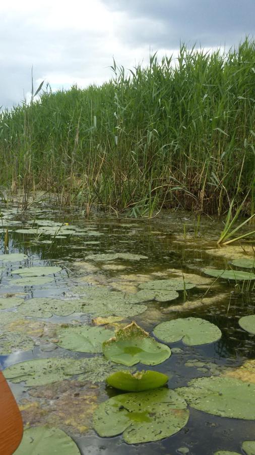 Kwatera Na Bagnach Osowiec  Экстерьер фото